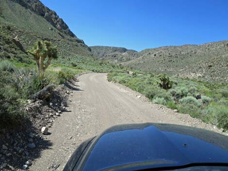 Curtis Canyon Road