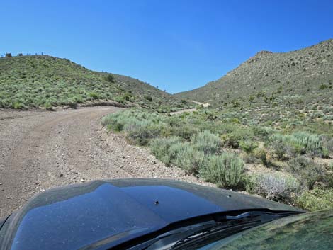 Curtis Canyon Road