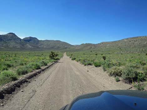 Curtis Canyon Road