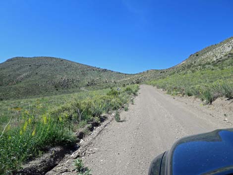 Curtis Canyon Road