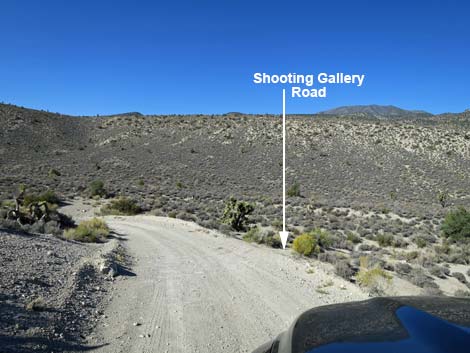 Curtis Canyon Road