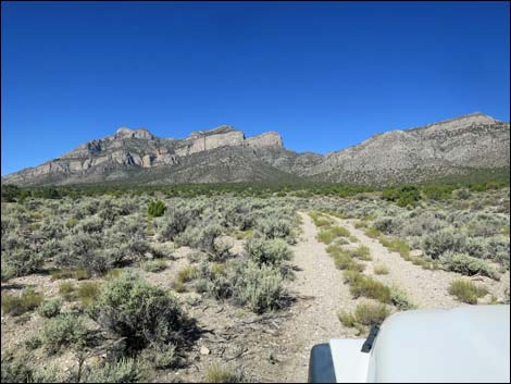 Leviathan Cave Road