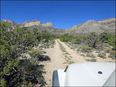 Leviathan Cave Road