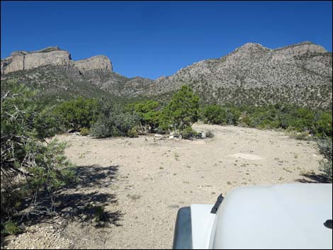 Leviathan Cave Road