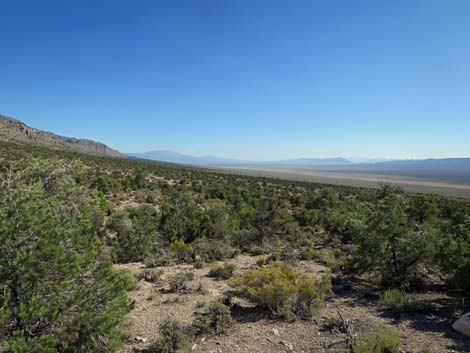 Leviathan Cave Road