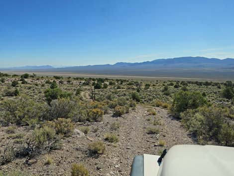 Leviathan Cave Road