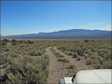 Leviathan Cave Road