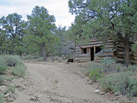 Logan Canyon Road