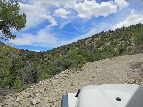 Logan Canyon Road