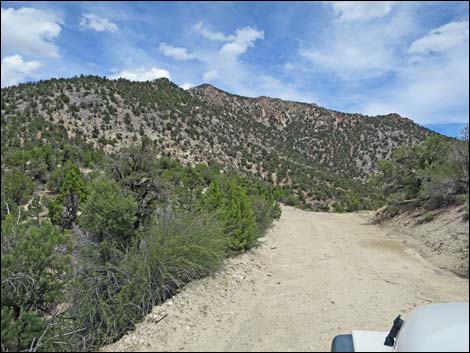 Logan Canyon Road