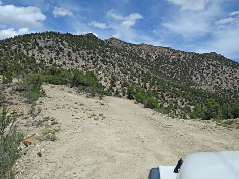 Logan Canyon Road