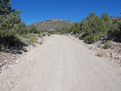 Logan Canyon Road