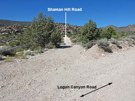 Logan Canyon Road