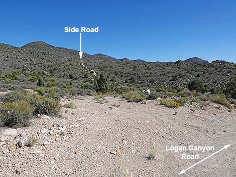 Logan Canyon Road