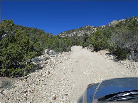 Logan Canyon Road