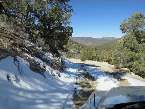 Logan Canyon Road