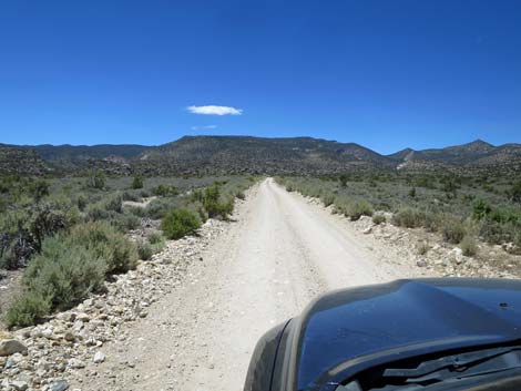 Logan Canyon Road