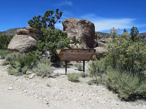 Logan Canyon Road