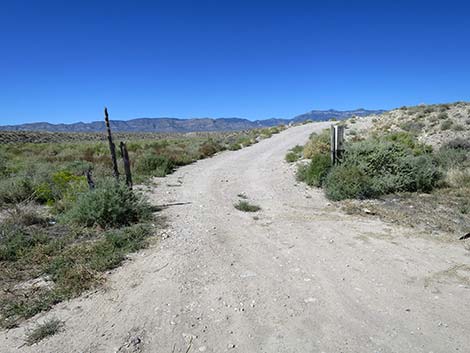 Logan Canyon Road