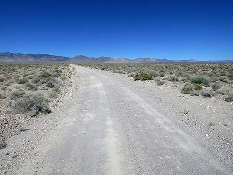 Logan Canyon Road