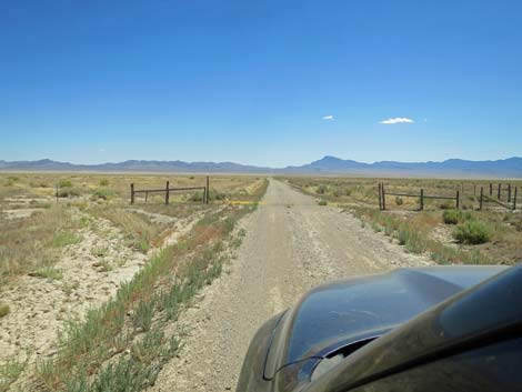 Timber Pass Road