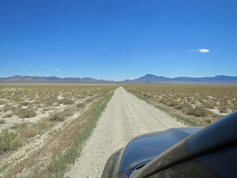 Timber Pass Road