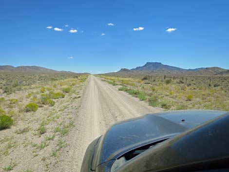 Timber Pass Road