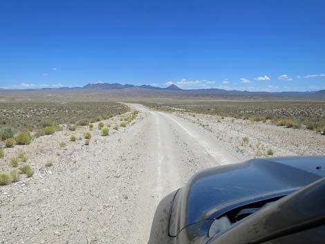 Timber Pass Road