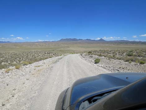 Timber Pass Road