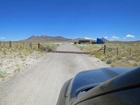 Timber Pass Road