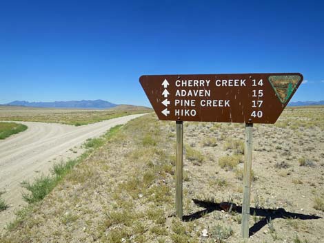 Timber Pass Road