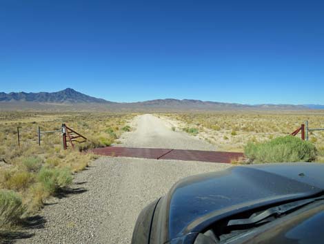 Timber Pass Road