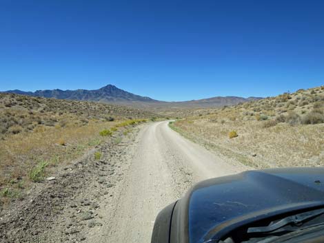 Timber Pass Road