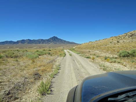 Timber Pass Road