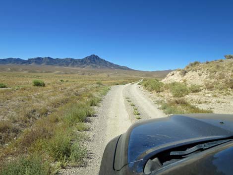 Timber Pass Road