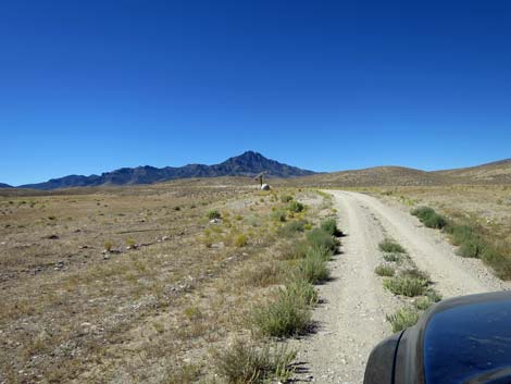 Timber Pass Road