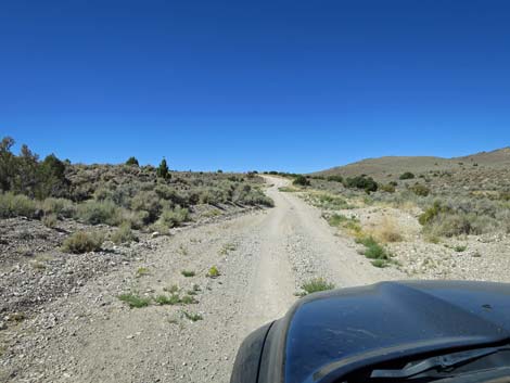 Timber Pass Road