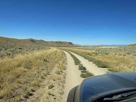 Timber Pass Road