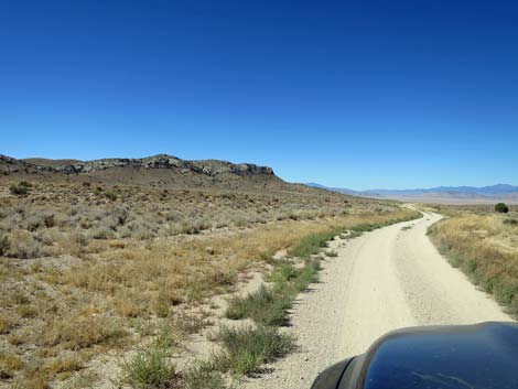 Timber Pass Road