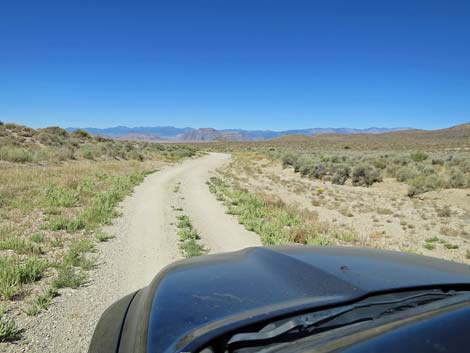 Timber Pass Road