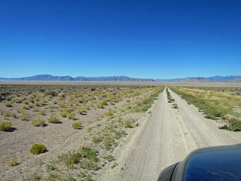 Timber Pass Road