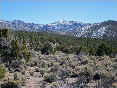 Wild Horse Valley Road