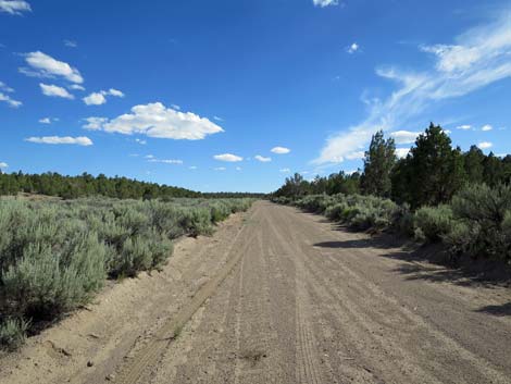 Wild Horse Valley Road