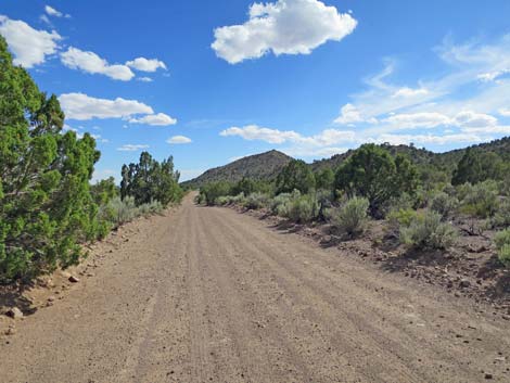 Wild Horse Valley Road