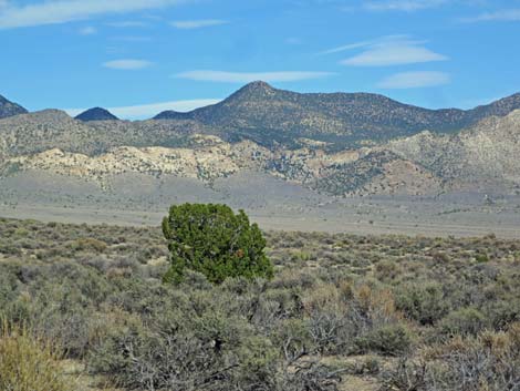 Wild Horse Valley Road