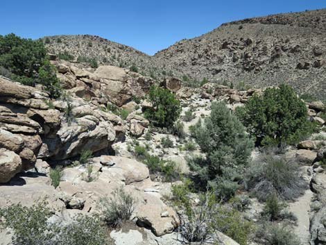 Shooting Gallery Rock Art Site