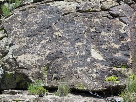 Shooting Gallery Rock Art Site