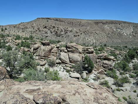 Shooting Gallery Rock Art Site