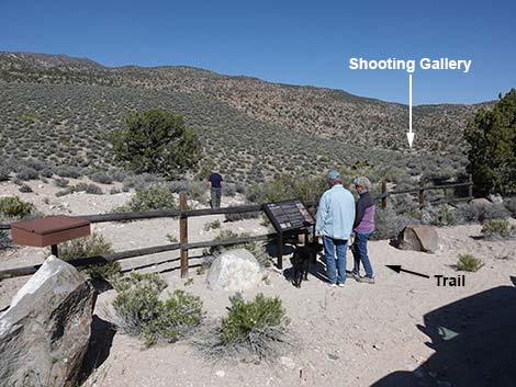 Shooting Gallery