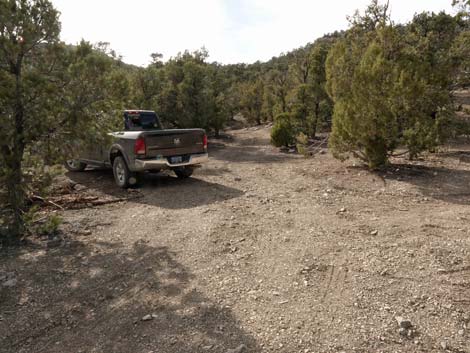 Badger Valley Road